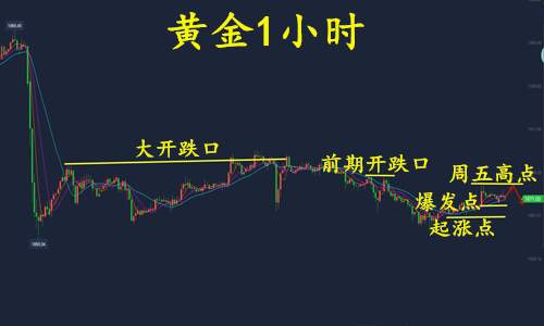 feed-image-2