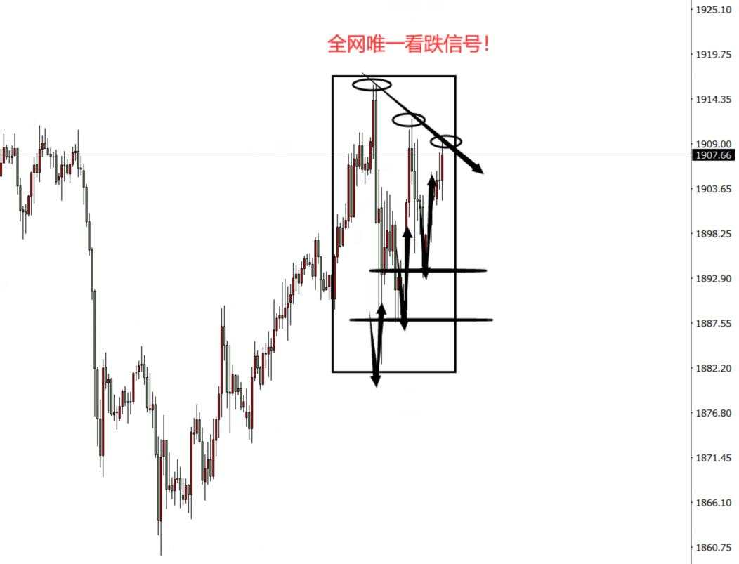 超级风险周第四天：黄金给出全网唯一看跌信号