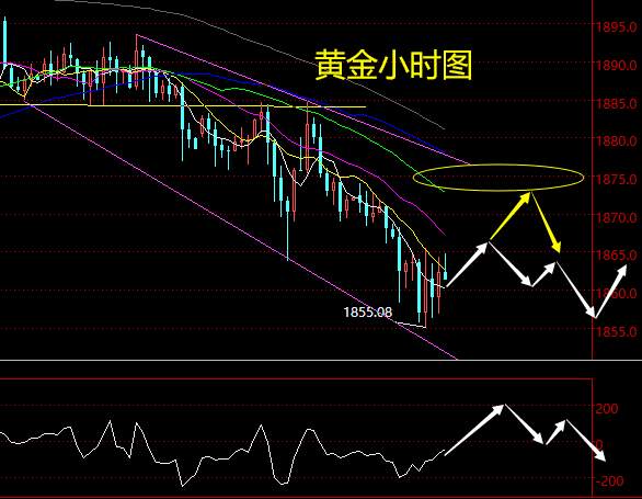 老黑策略：11.19晚盘外汇、黄金、原油分析策略