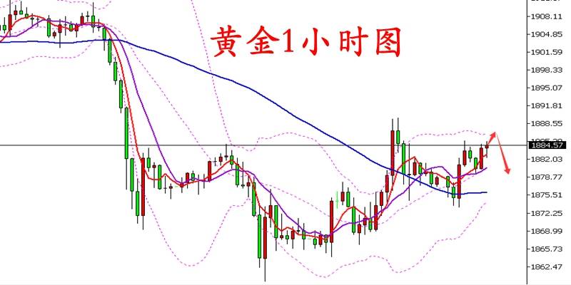 谭鑫晟：11.2黄金走势乘胜冲高意犹未尽 日内黄金操作布局