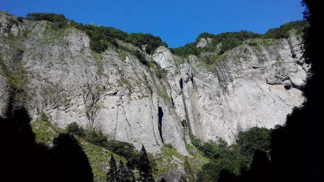 11.25早评：石油板块悄然崛起，另一板块也具备反弹条件
