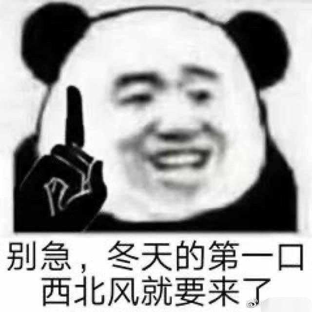 刷新纪录!天猫4982亿,京东2715亿!广东人霸屏,最爱买的居然是……