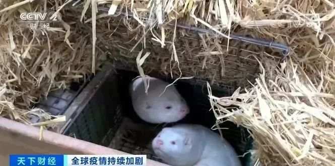 天津新增本地确诊1例，迅速进入战时状态！患者与8名同事同住，活动轨迹公布