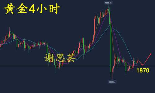 feed-image-2