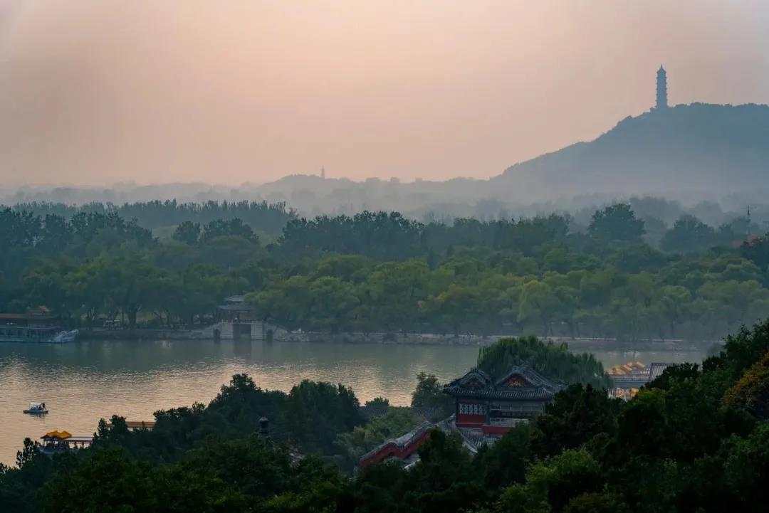 疯话趋势