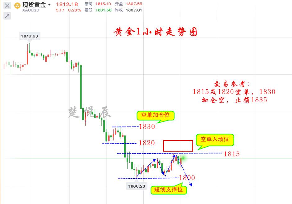 楚悦辰：11.25耶伦或成为美国新任财长，黄金雪上加霜