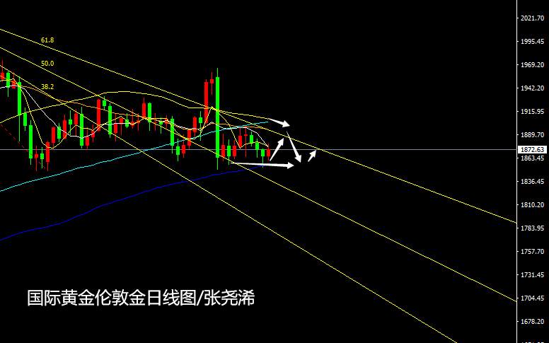 张尧浠周评：疫苗乐观掺杂刺激预期、黄金低位震荡延伸
