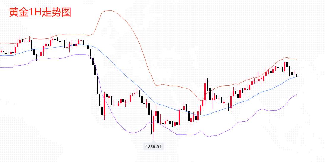 沈皓南：大选结果公布前，黄金以观望为主