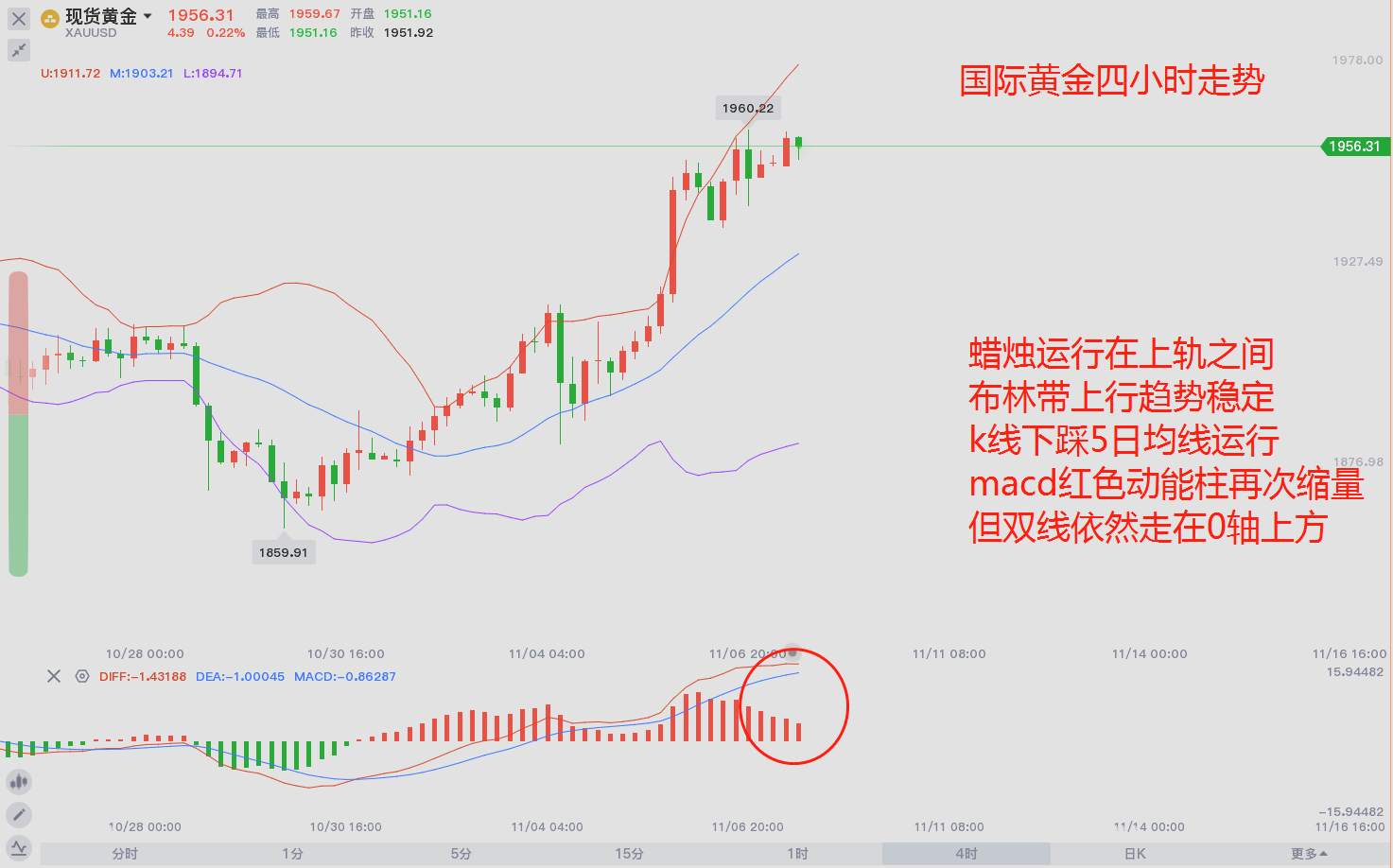 东盛：大选落地，黄金走势刚刚开始
