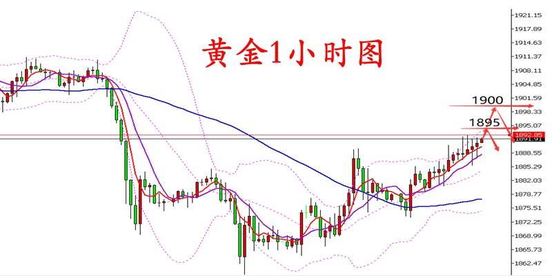 谭鑫晟11.3黄金走势震荡反弹能否夺下千九关口？后市操作建议