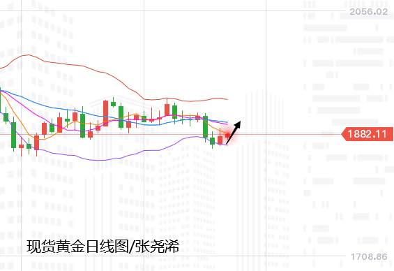 张尧浠：黄金将迎重型风暴、短线反弹仍需关注中轨阻力