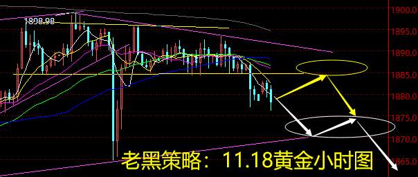 老黑策略：11.18黄金分析策略
