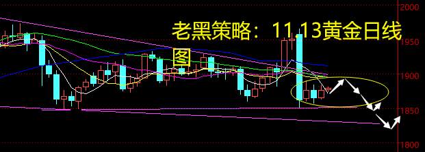老黑策略：11.13黄金分析策略