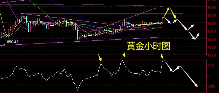 老黑策略：11.13晚盘外汇、黄金、原油分析策略