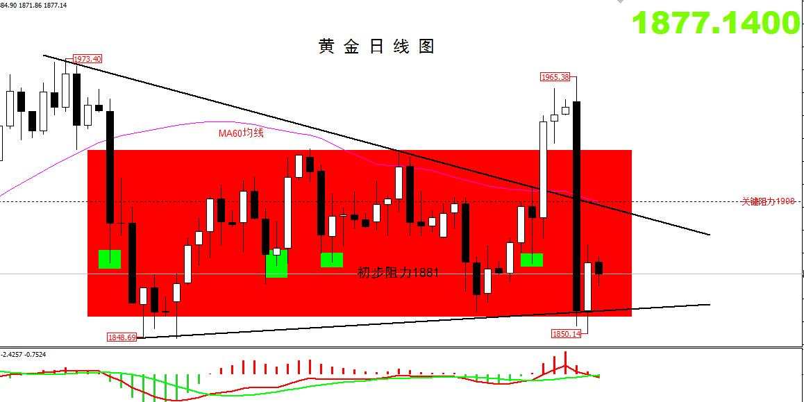 ​【黄金篇】：市场对辉瑞疫苗反应过度，避险情绪逐步回升