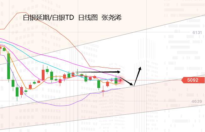 张尧浠：大选预期转向仍存变数、黄金下跳上窜仍有反弹