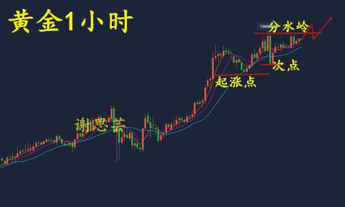 谢思芸：大选戏码尚未落幕？黄金早间高开！日内如何操作？