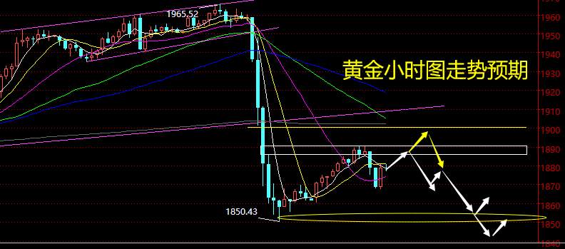 老黑策略：11.10晚盘外汇、黄金、原油分析策略