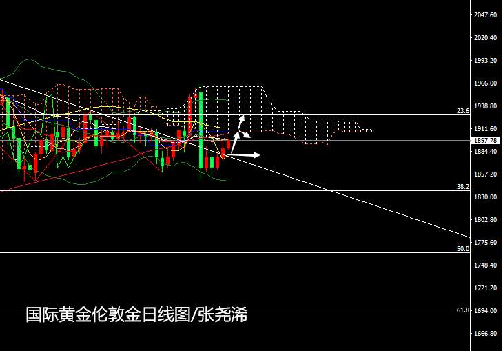张尧浠：疫苗情绪消退、黄金延续止跌看进一步反弹