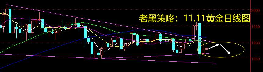 老黑策略：11.11黄金分析策略