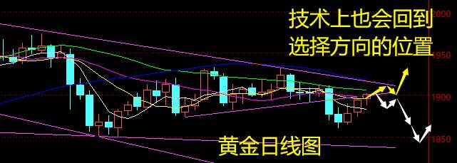 老黑策略：11.3晚盘外汇、黄金、原油分析策略