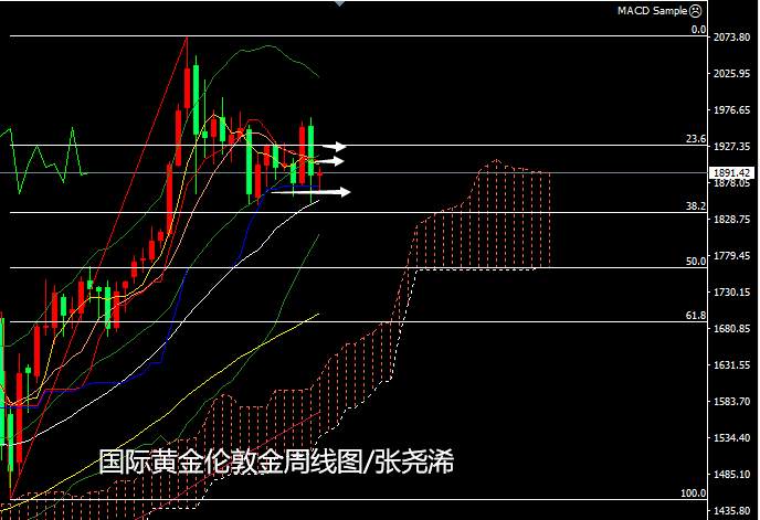 张尧浠：疫苗问世利率早已触底、黄金保持回撤趋势待寻底
