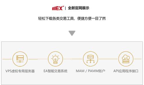 MEXGroup：官方动态 | 焕然升级！大通金融全新中文官网正式上线
