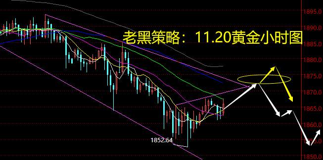 老黑策略：11.20黄金分析策略
