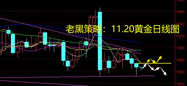 老黑策略：11.20黄金分析策略