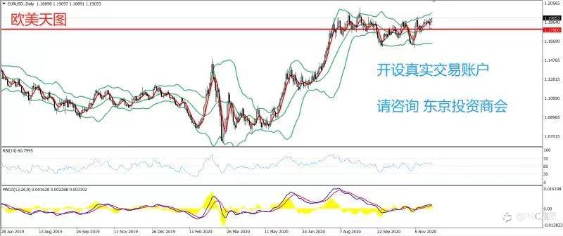 2020年11月25日 今日汇评