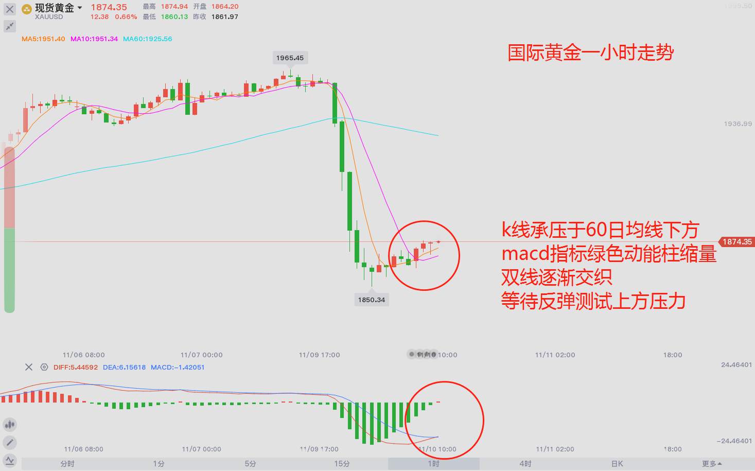 东盛：同样是疫苗，为什么市场反应不一？