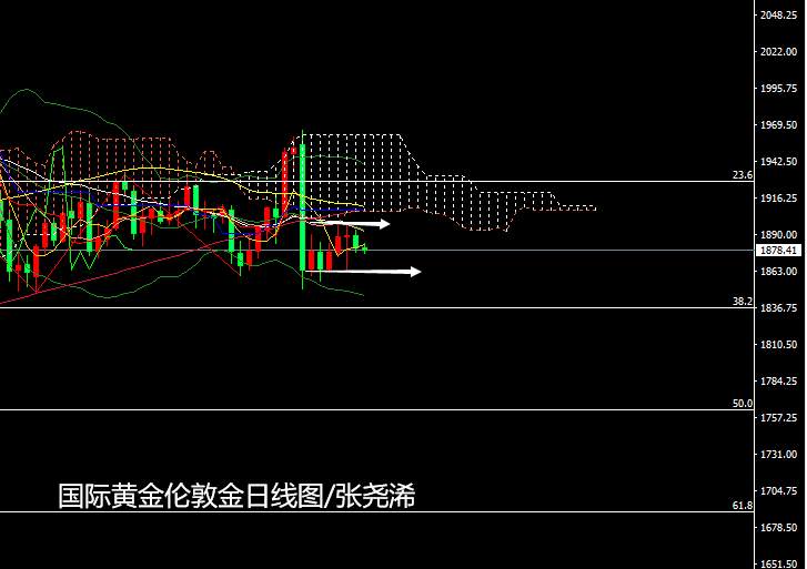 张尧浠：疫苗乐观与疫情担忧相持、黄金低位承压震荡对待