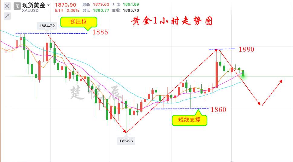 楚悦辰：11.21黄金周五反弹强势，下周1850能否守得住？