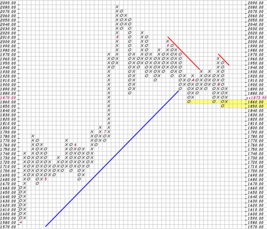 Phân tích Forex và hàng hóa theo góc nhìn đồ thị P&F - Ngày 19/11