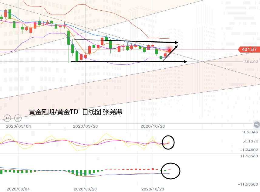 张尧浠：大选临近推动黄金暂升、日内延续看进一步目标