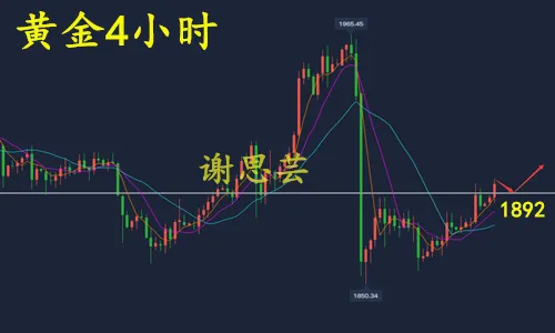 谢思芸：黄金短线急涨！正逼近1900大关！看涨做多成必然！