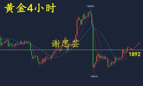 feed-image-2