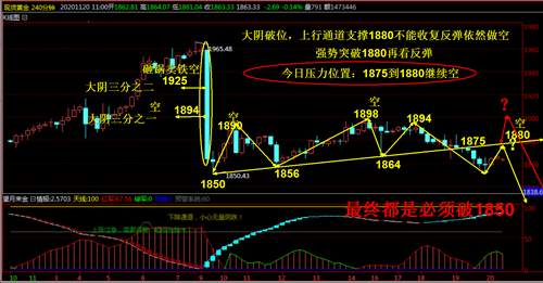 feed-image-2
