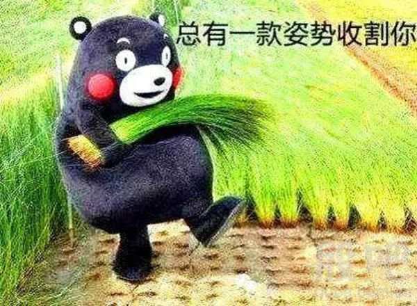 起底盈菲外汇，不肯退还押金，还要求入金更多！