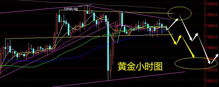 老黑策略：11.17晚盘外汇、黄金、原油分析策略