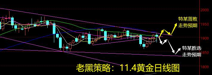 老黑策略11.4晚盘：大选选情胶着，短线市场依旧复杂难辨