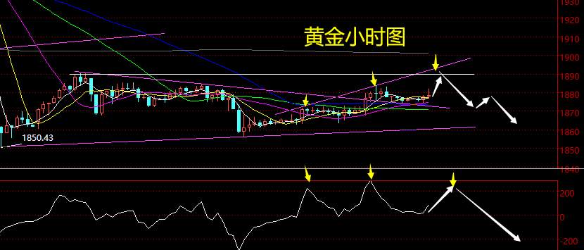老黑策略：11.13黄金分析策略