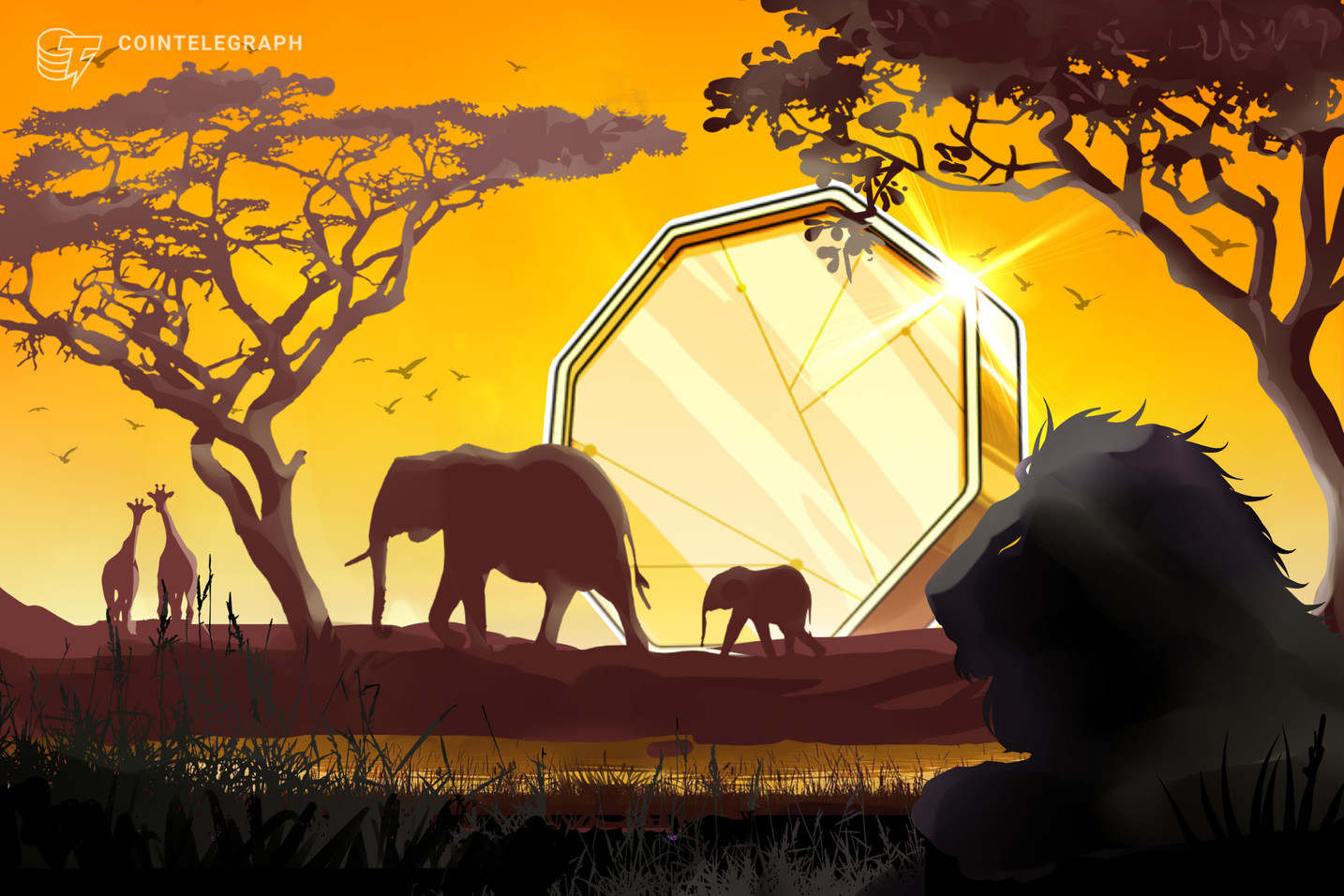 Following Binance Uganda closure, Binance P2P makes strong inroads in Africa