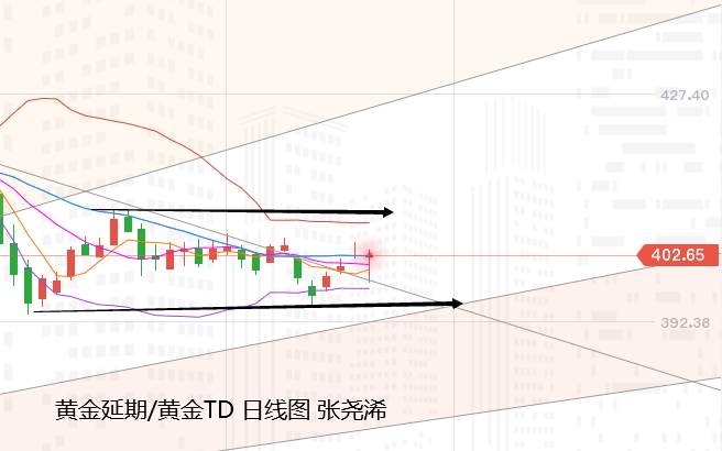 张尧浠：大选预期转向仍存变数、黄金下跳上窜仍有反弹