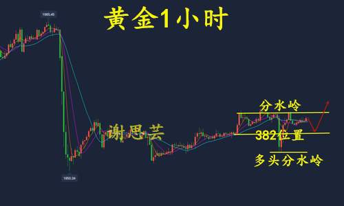feed-image-2