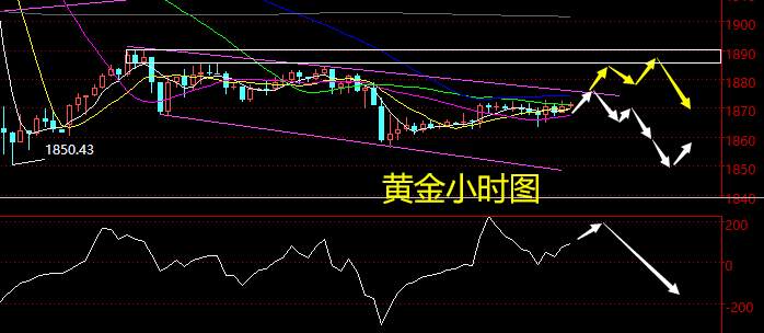 老黑策略：11.12晚盘外汇、黄金、原油分析策略