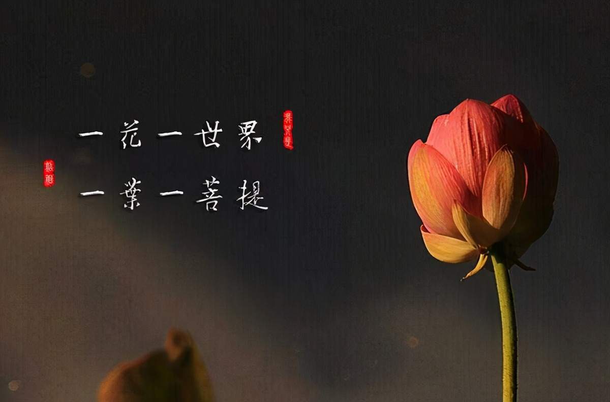楚悦辰：11.23黄金5大不确定因素，务必关注1850