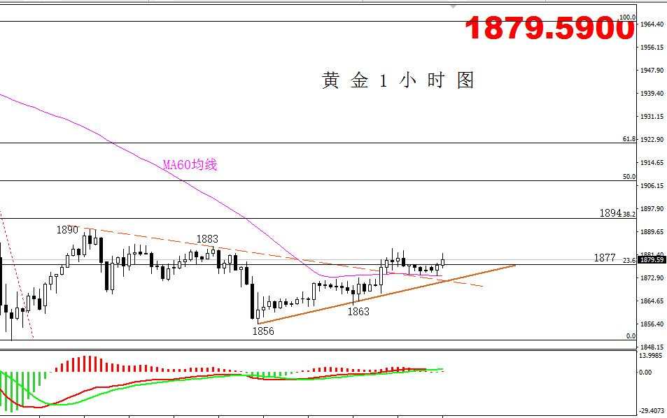 【黄金篇】:黄金底部震荡延续，是筑底还是诱多？