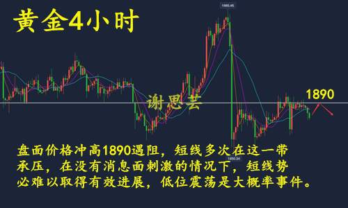 feed-image-2