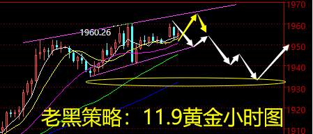 老黑策略：11.9黄金分析策略